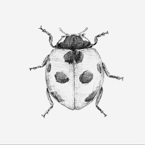 Meet your Posher, Kyndel